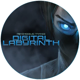 Digital Labyrinth Disk Images