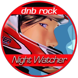 Night Watcher Disk Images