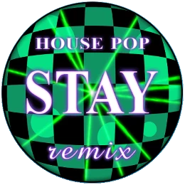 Stay (Radio Edit) Disk Images