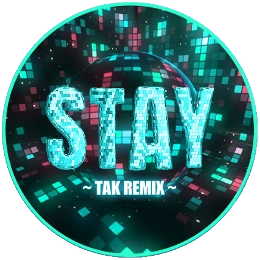 Stay (TAK Remix) Disk Images