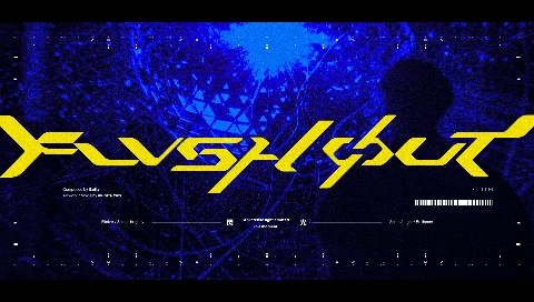 FLVSH OUT Eyecatch image-2